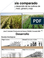 Análisis Comparado PG 2020