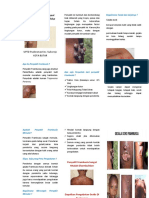 Data Leaflet Frambusia