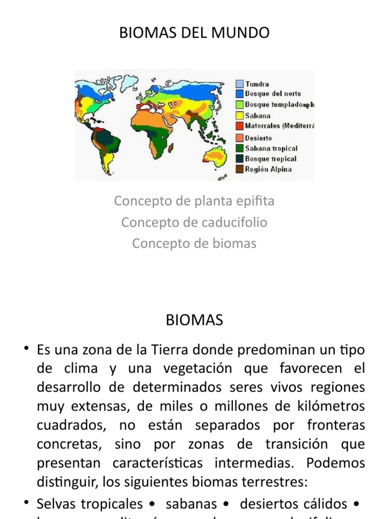 Biomas del Mundo: Definición y Tipos | PDF | Selva | Zona tropical