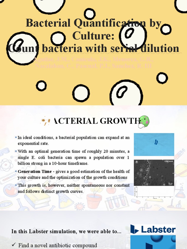 GROUP 1 Bacterial Quantification by Culture PDF Bacteria