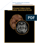 Neuroanatomia-del-cerebro-para-las-imagenes-diagnosticas