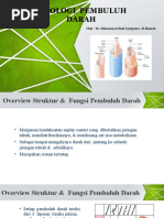 Fisiologi Pembuluh Darah