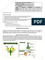 Guia 4 Ciencias Cuarto