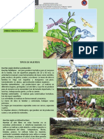 Desarrollo Sesion 05, Horticultura