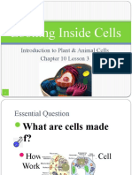Looking Inside Cells: Introduction To Plant & Animal Cells Chapter 10 Lesson 3