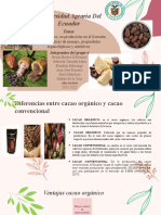 Trabajo Grupal Del Cacao Organico Grupo 4