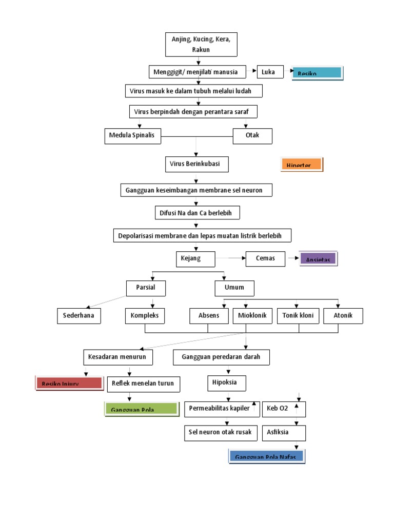 Patofisiologi dan Patogenesis Rabies | PDF
