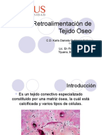 Retroalimentación T.Oseo
