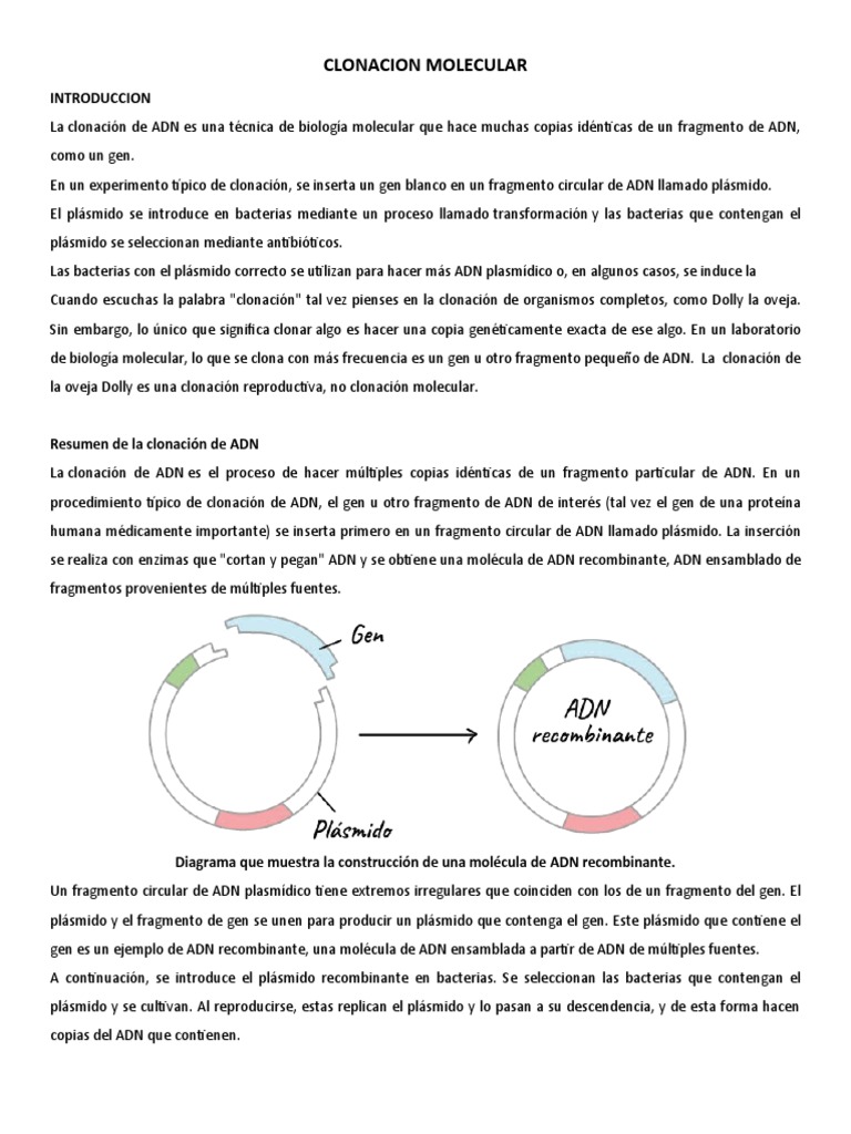 Iv - Clonacion Molecular | PDF | Plásmido | Adn Ligase
