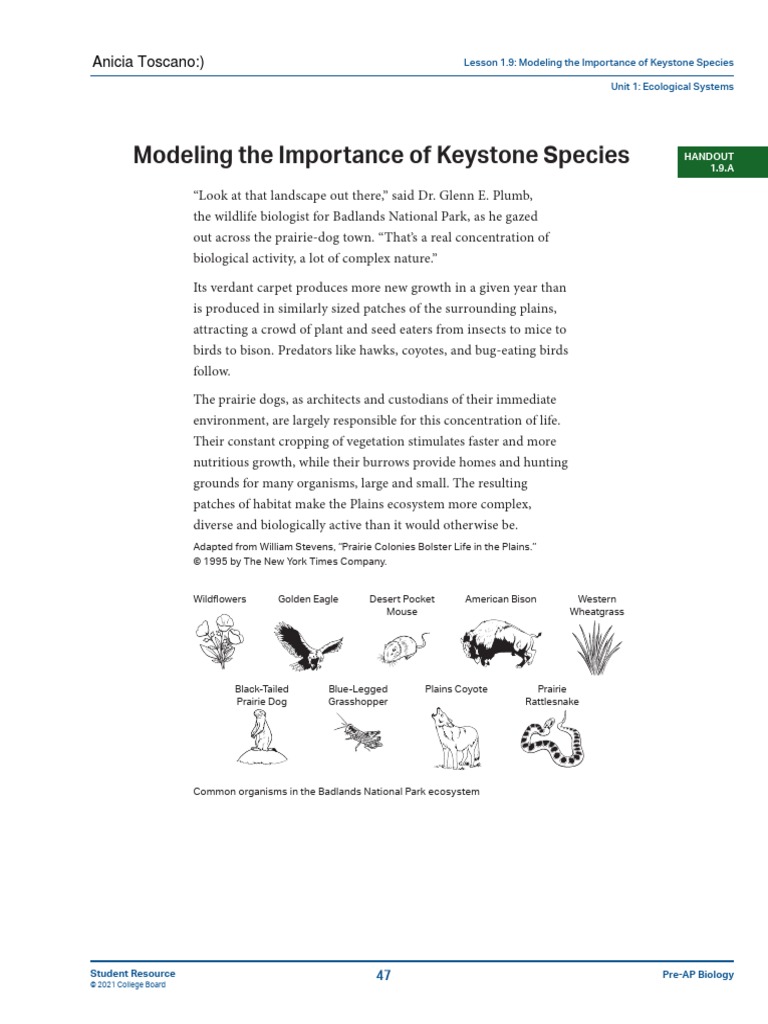 Pre AP Keystone Species | PDF | Rodent | Predation