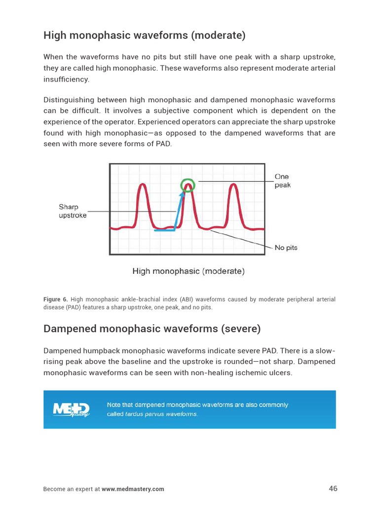 UltrasoundMasterclass - Arteries - of - The - Legs - Handbook 46 | PDF