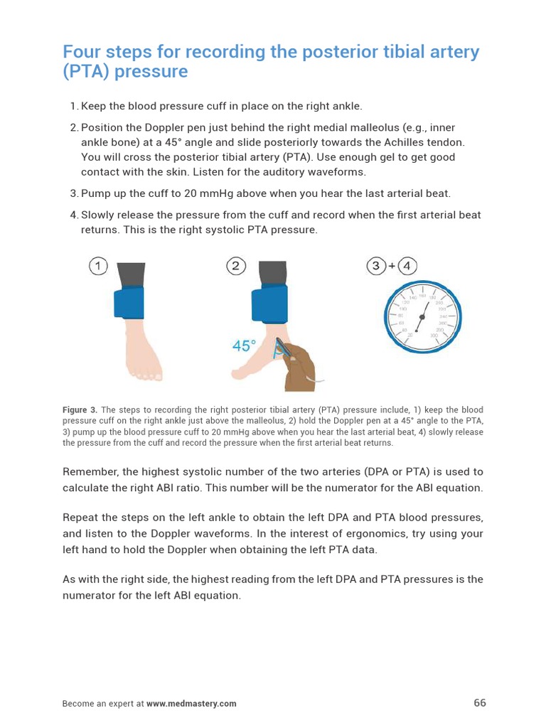 UltrasoundMasterclass - Arteries - of - The - Legs - Handbook 66 | PDF