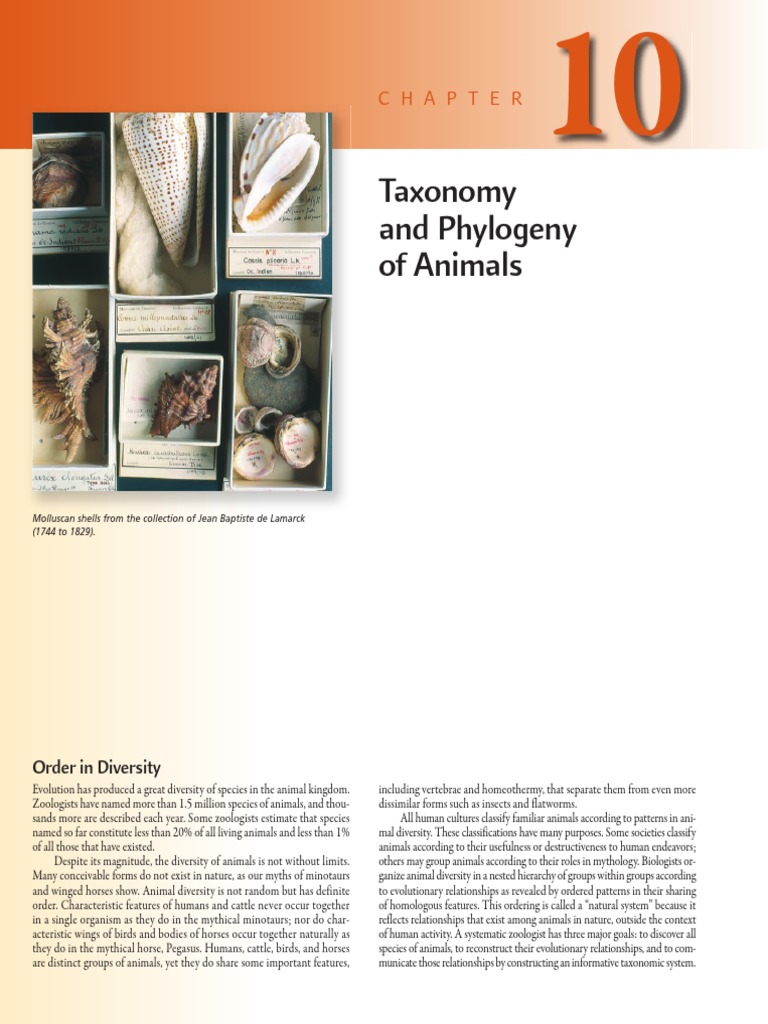 Understanding Animal Taxonomy and Diversity | PDF | Species | Taxonomy ...