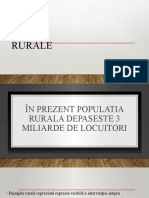 Peisaje Rurale