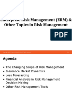 Enterprise Risk Management (ERM) & Other Topics in Risk Management