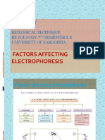 Factors Affecting Electrophoresis