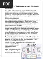 D NA Vs RNA: A Comparison in Structure and Function