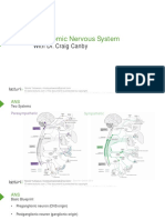 Slides 1 NervousSystem BrainAndNervousSystem