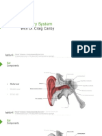 Slides 9 AuditorSystem BrainAndNervousSystem