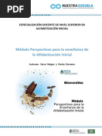 Alfabetizacion Inicial