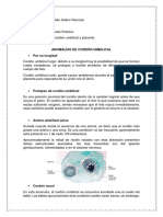 Anomalías cordón umbilical placenta