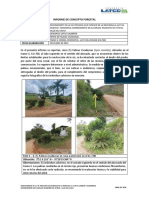 Informe Concepto Forestal Tramo 4 K1+700 Cicadaceas