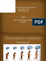 Taxonomía y Evolución Humana