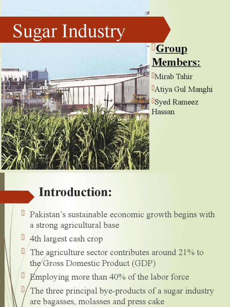API Presentation (Sugar Industry) | PDF | Sugarcane | Agriculture