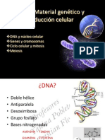 Clase 3.-ADN A Cromosomas