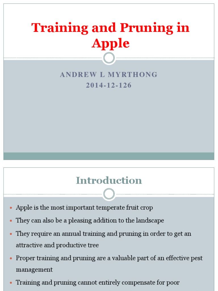 Training and Pruning Techniques for Apples | PDF | Pruning | Trees