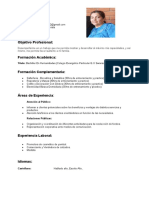 Curriculum Vitae Funcional