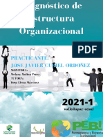 Diagnóstico de Estructura Organizacional Final