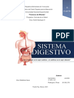 Sistema Digestivo Parte II