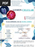 Diapositivas Lesión Celular