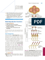 Male Reproductive Functions: Did You Get It?