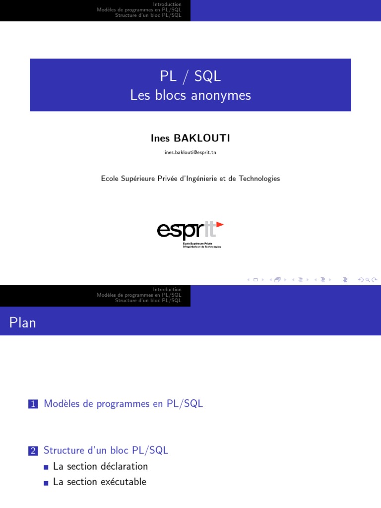 PLSQL CH1 Les Blocs Anonymes | PDF | PL/SQL | SQL