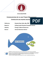 1582560082 Consecuencias de No Usar Project Management Petrobras Evalua Pecom