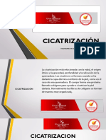 CICATRIZACION