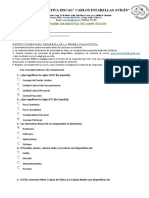 Prueba Diagnóstica de Computación