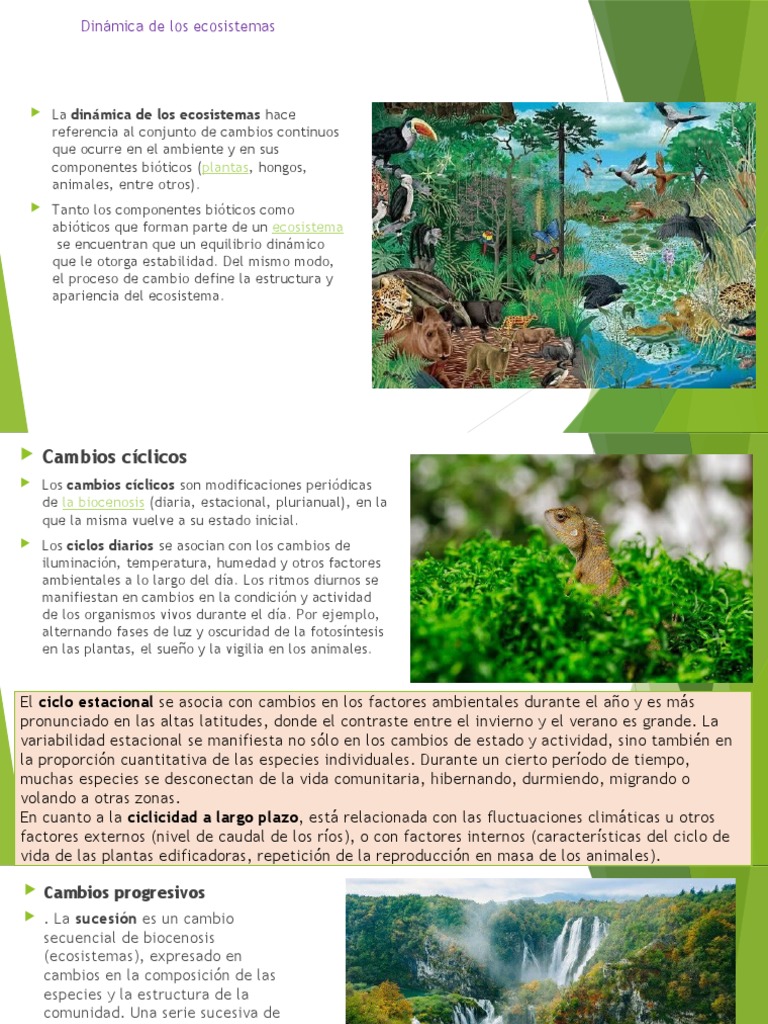 Dinámica de los Ecosistemas y sus Cambios | PDF | Red alimentaria ...