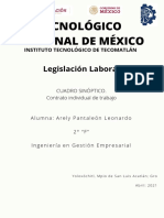 Contrato Individual de trabajo-APL