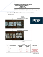 5 Terbimbing Laporan Praktikum Ipa Uji Makanan Modul 3