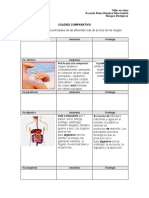 Cuadro Comparativo-1