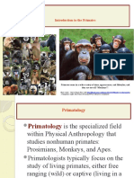 ANT1 OL Module 8 Introduction To The Primates