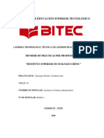 Informe Prácticas Pre Profesionales Bitec (Modular I)