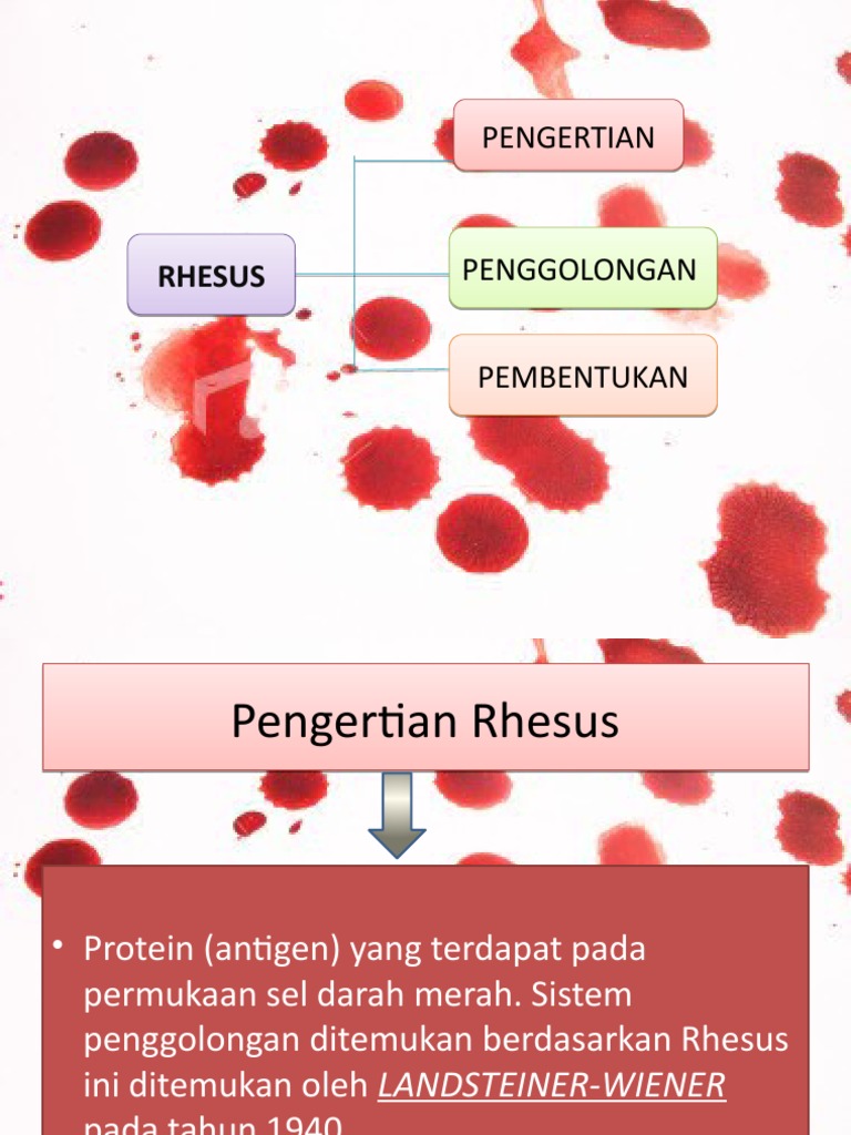 Sistem Rhesus | PDF