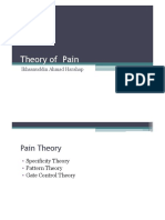 Pain Management Theory of Pain