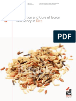 Prevention and Cure of Boron Deficiency In: Agriculture Booklet