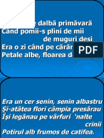 Era o Zi de Dalba Primavara-10