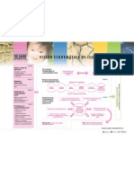 Vision Esquematica de La ISO26000